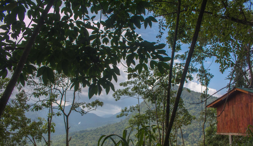 Exterior & Views, Tree Houses by Jungle River, Ambagamuwa