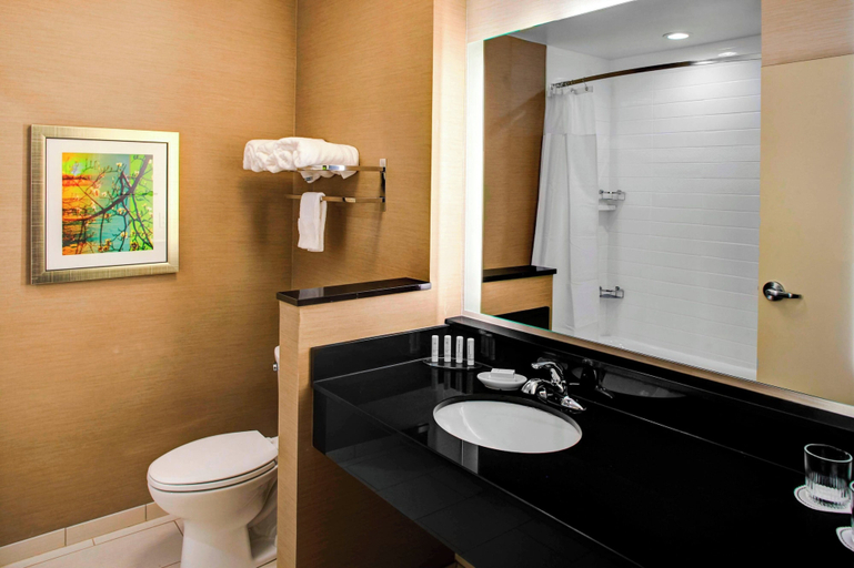 Bathroom 4, Fairfield Inn & Suites by Marriott Douglas, Coffee