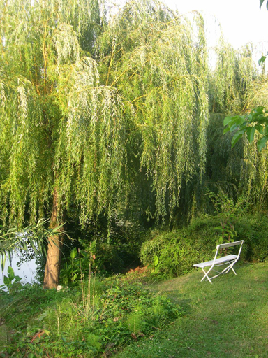 Others 4, Chambres d'hotes au chateau de Favols, Lot-et-Garonne