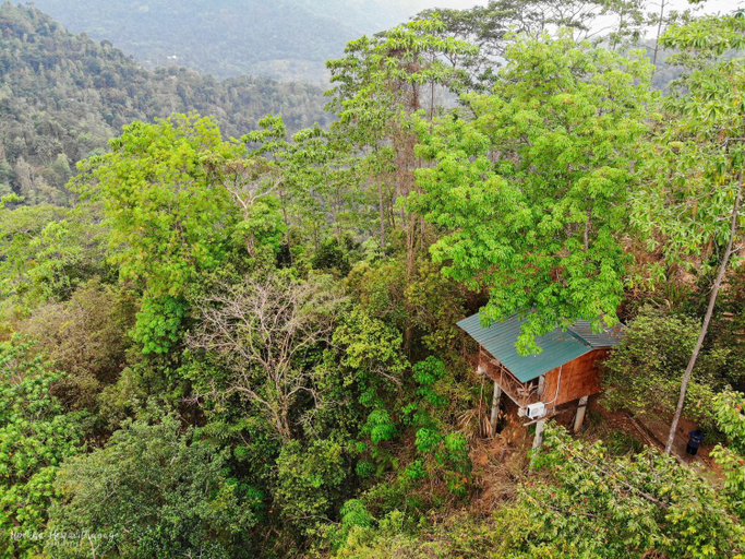 Others 4, Tree Houses by Jungle River, Ambagamuwa