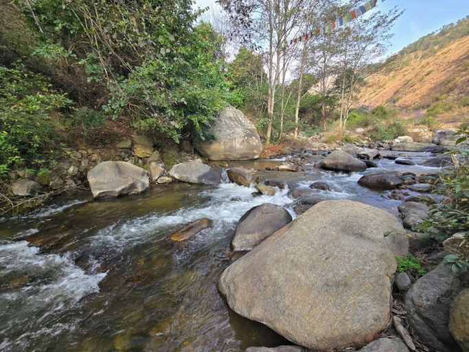 Others 5, Punakha Stream Resort, Bapisa