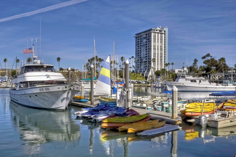 Others 4, Silver Surf Getaway, San Diego