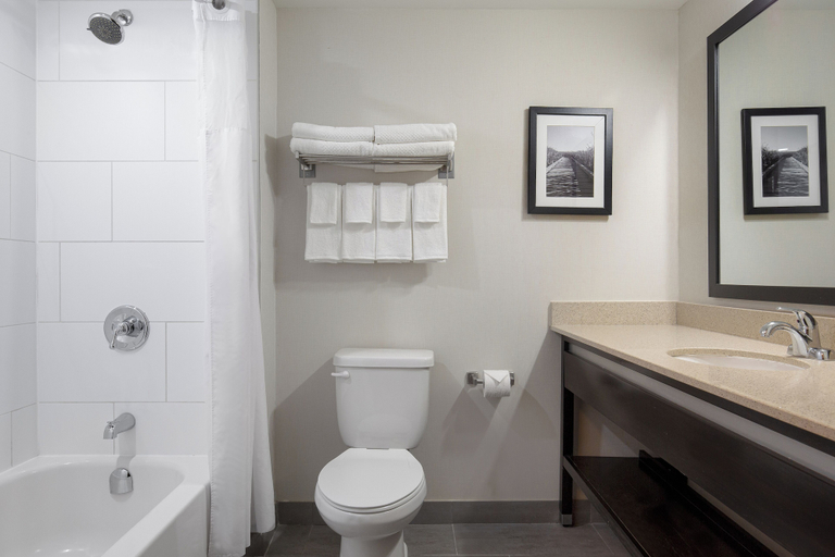 Bathroom 4, Quality Inn & Suites, Frontenac
