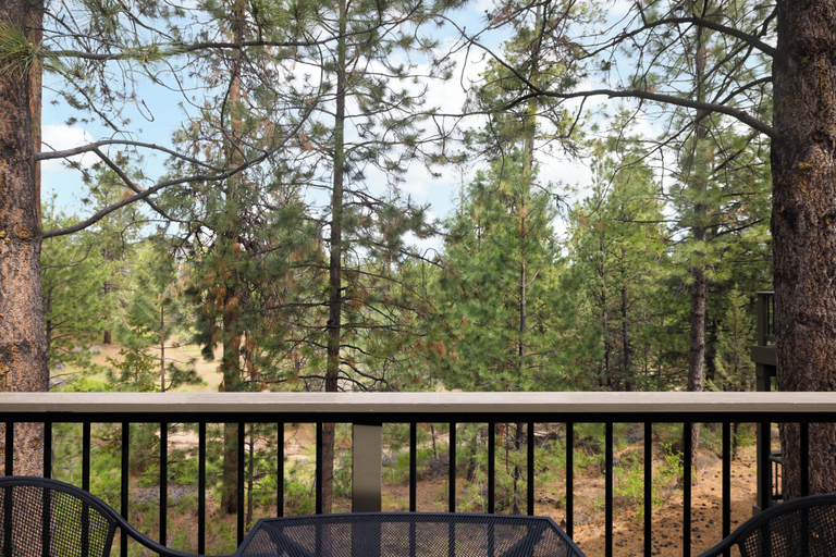 Others 5, Ponderosa Resort Condo for 6!, Deschutes