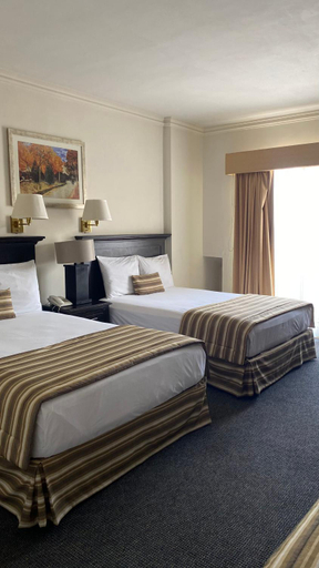 Bedroom 3, Hotel Zafra, Torreón