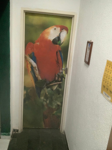 Others 4, Hotel Pantanal, Cuiaba