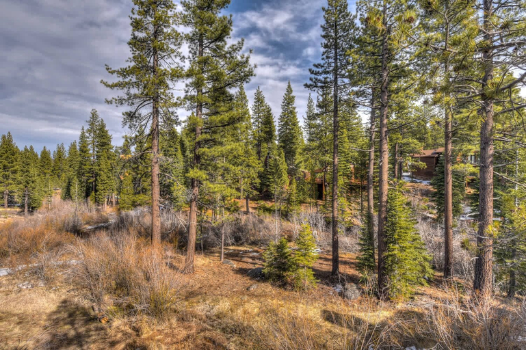 Others 4, Silver Tree Sanctuary in Aspen Grove!, Placer