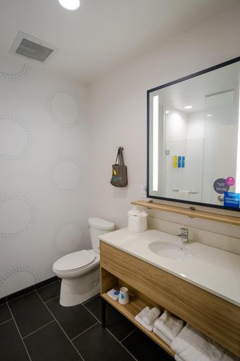 Bathroom, Tru by Hilton Pflugerville, TX, Travis