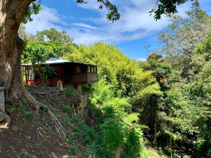 Others 3, ROMATIC WATERFALL CABIN in the Rainforest, Hawaii