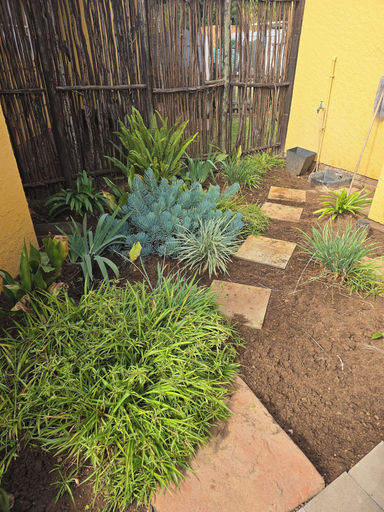 Others 4, Madison House & Cottages, Ekurhuleni