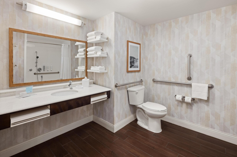 Bathroom, Hampton Inn Minneapolis-Roseville, Ramsey