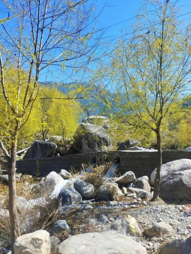 Others 5, ROCK MOUNTAIN HOMESTAY, Chamba