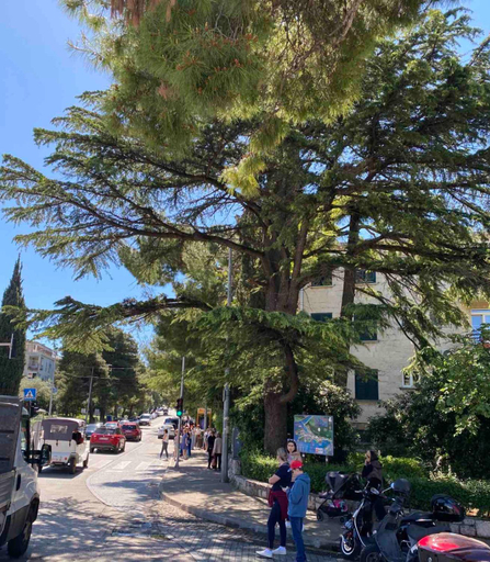 Others 4, Luxury Sunset Beach Apartments-free parking, Dubrovnik