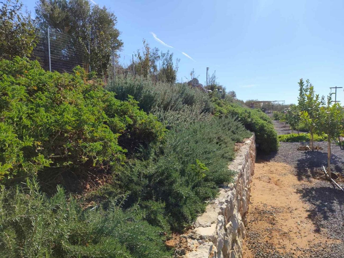 Surrounding environment 3, Gregory's Farm, Peloponnese