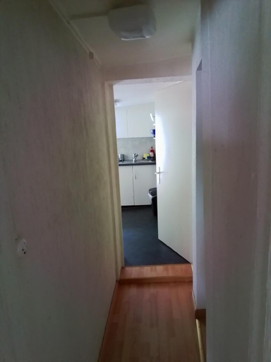 Others 4, tiny flat, Sankt Gallen