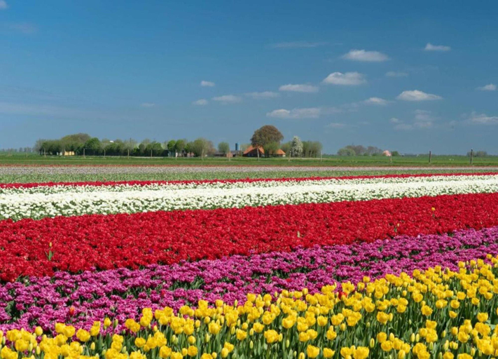 View from property 5, Lovely Tent with Kitchen & Bathroom Located near Pond, Noordoostpolder