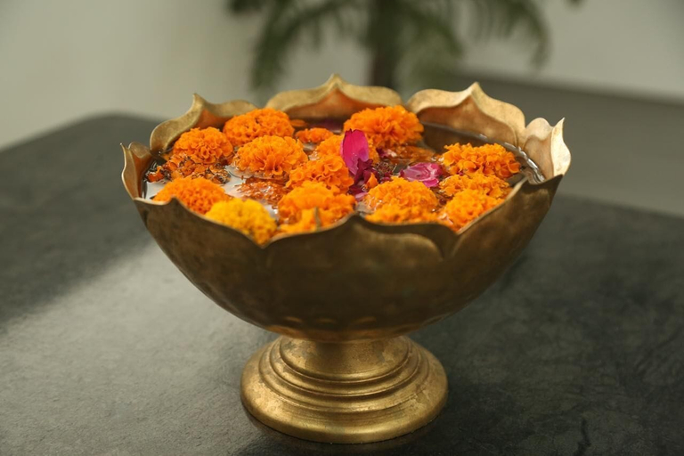 Food & Drinks 5, Paramhans Hotel, Dehradun