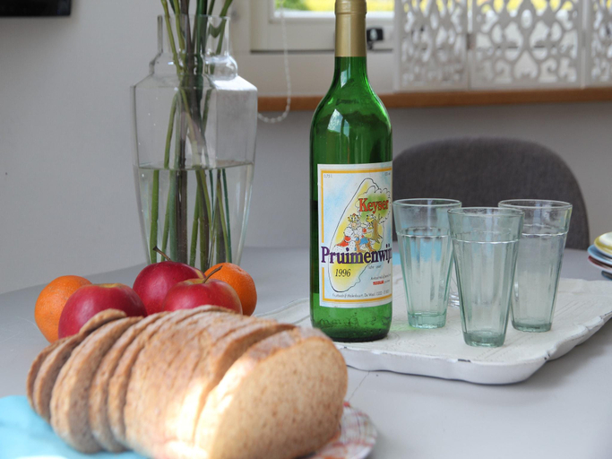 Food & Drinks 4, Pet-Friendly Bungalow, Harenkarspel