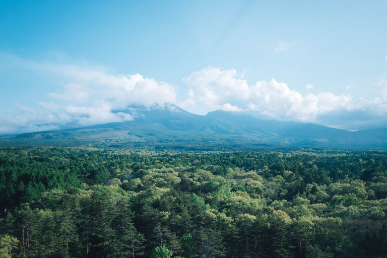 Land view from property 2, SANU 2nd Home Kitakaruizawa1st, Naganohara