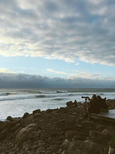Others 5, The Kite, Taitung