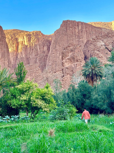 Others 4, Dar Relax Hostel, Gorges de Todra, Ouarzazate