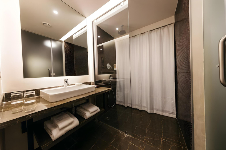 Bathroom 4, The Royale Senate Race Course Road, Bangalore