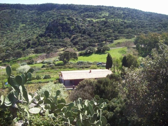 Miscellaneous 2, Villa Veronica, Sassari