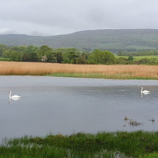 Room 2, Brand new 2 Bedroom Home Overlooking Kenmare Bay Estuary