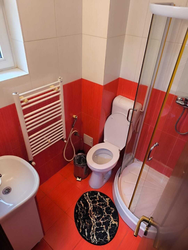 Bathroom 4, Pensiunea Lucy Sinaia, Sinaia