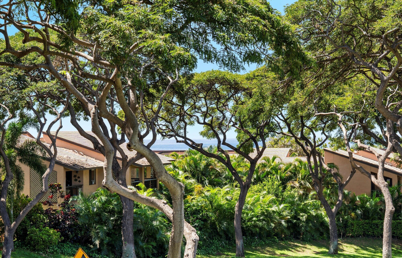 Exterior & Views 2, Palms At Wailea 604 2 Bedroom Condo, Maui