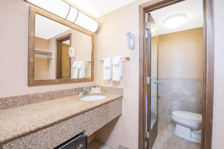 Bathroom 4, Days Inn by Wyndham Duluth Lakewalk, Saint Louis