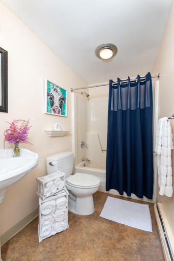 Bathroom 2, White Horse Lodge, Washington