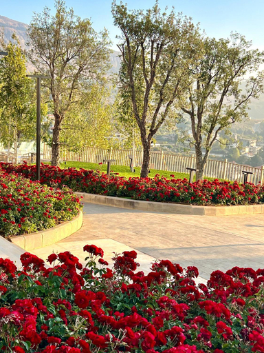 Others 4, Cherrytales, Baabda