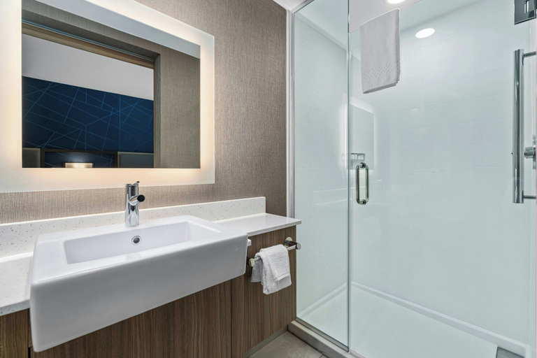 Bathroom 3, Springhill Suites By Marriott Camden, Kershaw