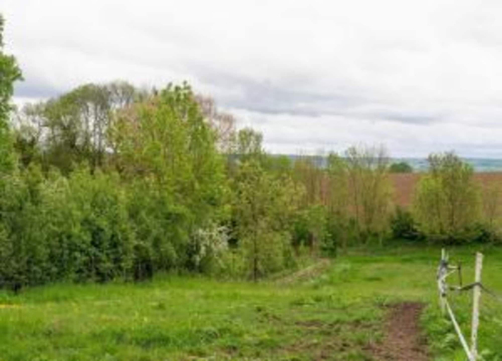 View from property 3, Cottage in Ubachsberg With Scenic Hills, Voerendaal