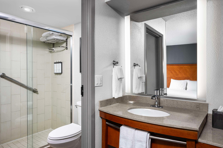 Bathroom 4, Hyatt Place Overland Park Conv Cntr, Kansas City