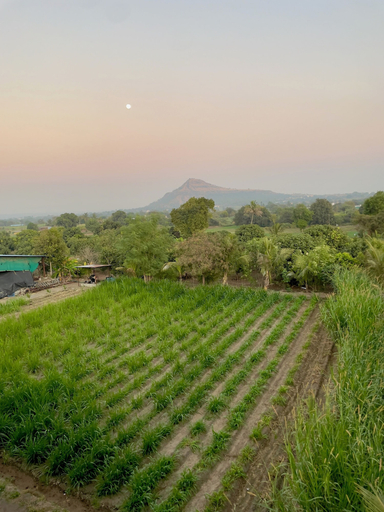 Others 5, Fulgulab Lawns & Homestays, Pune