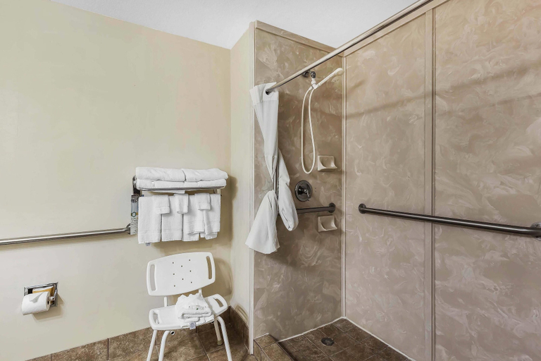 Bathroom 4, Quality Inn & Suites - Granbury, Hood