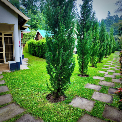 Front of property 5, Paradise Farm Cottages Mbui, Tetu