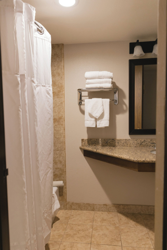 Bathroom 4, Historic Santa Maria Inn, Santa Barbara