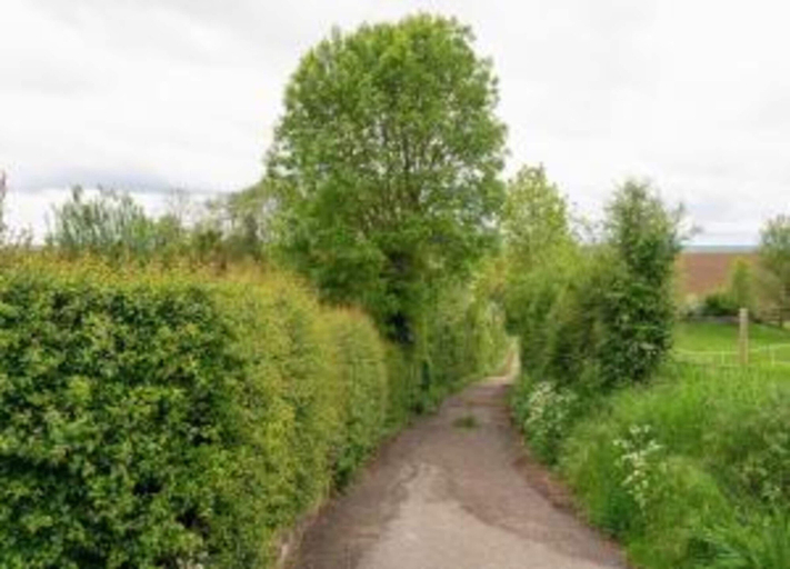 View from property 4, Cottage in Ubachsberg With Scenic Hills, Voerendaal