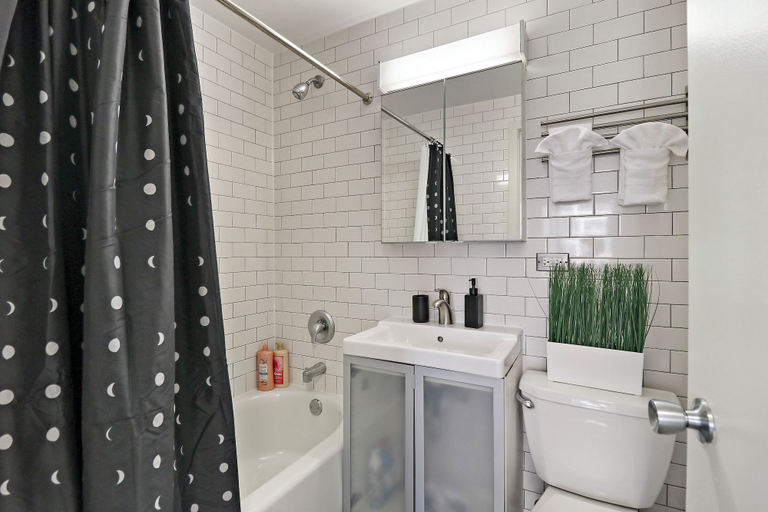Bathroom, 2BR Apt in Hyde Park - Algonquin 8E, Cook