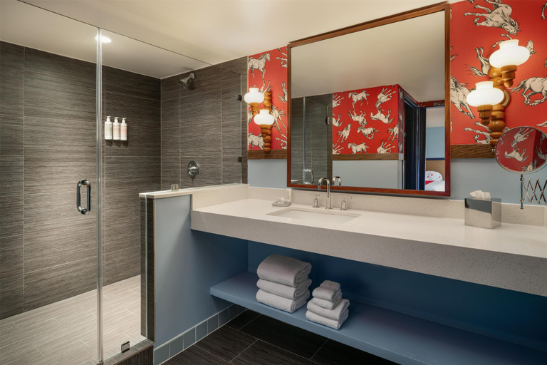 Bathroom 5, Graduate by Hilton Dallas, Dallas