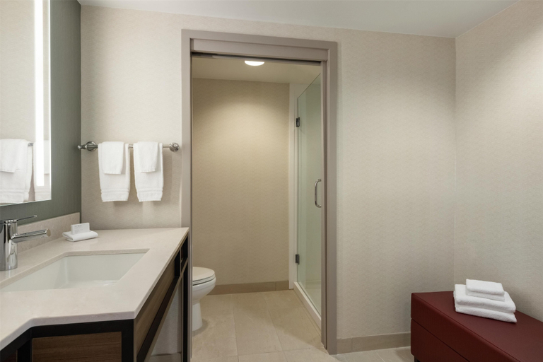 Bathroom 4, Hilton Garden Inn Atlanta Downtown, Atlanta
