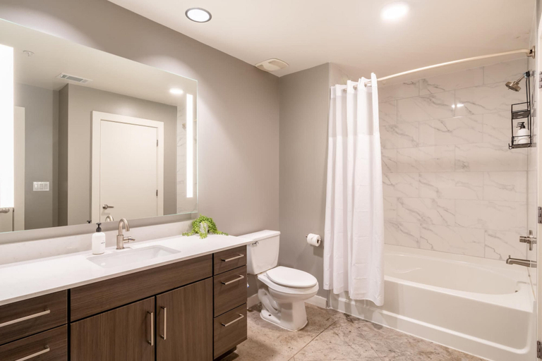 Room 5, Austin Exquisite 1BD 1BA Downtown Apartment, Travis