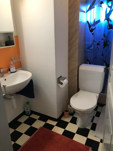 Bathroom, simple flat, Sankt Gallen