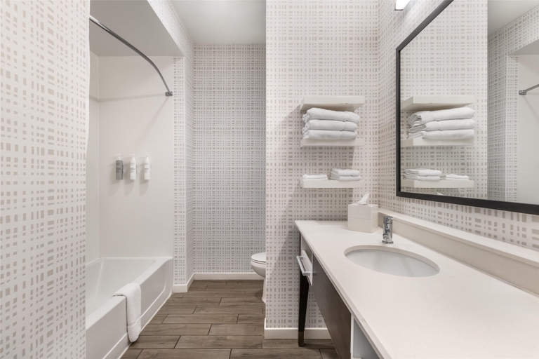 Bathroom 5, Hampton Inn Eufaula, Barbour