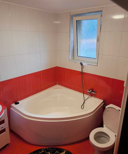 Bathroom 3, Pensiunea Lucy Sinaia, Sinaia