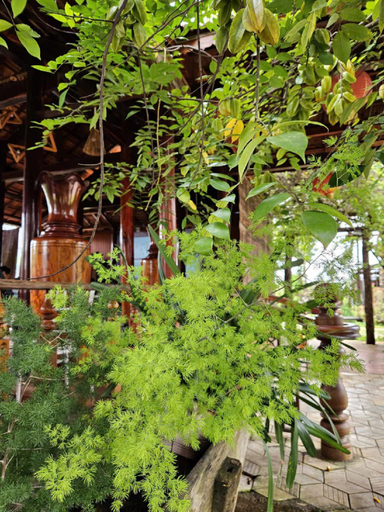 Others 5, Anna's Homestay, Ia Grai