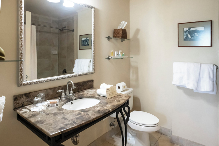 Bathroom 4, River Inn of Harbor Town, Shelby